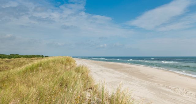 Fine white sand and bushes on Sandhammaren beach, Sweden