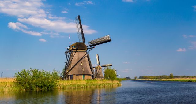 Yellow flowers and a typical canal framing the windmills at Kinderdijk