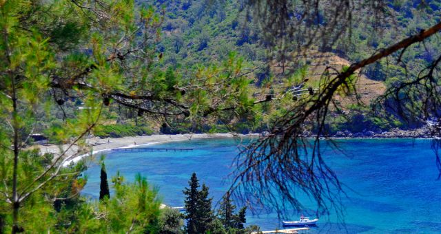 Natural shade at a beach with crystal clear waters in Bodrum