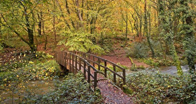 Gwaun Valley in the autumn, Pembrokeshire, Wales